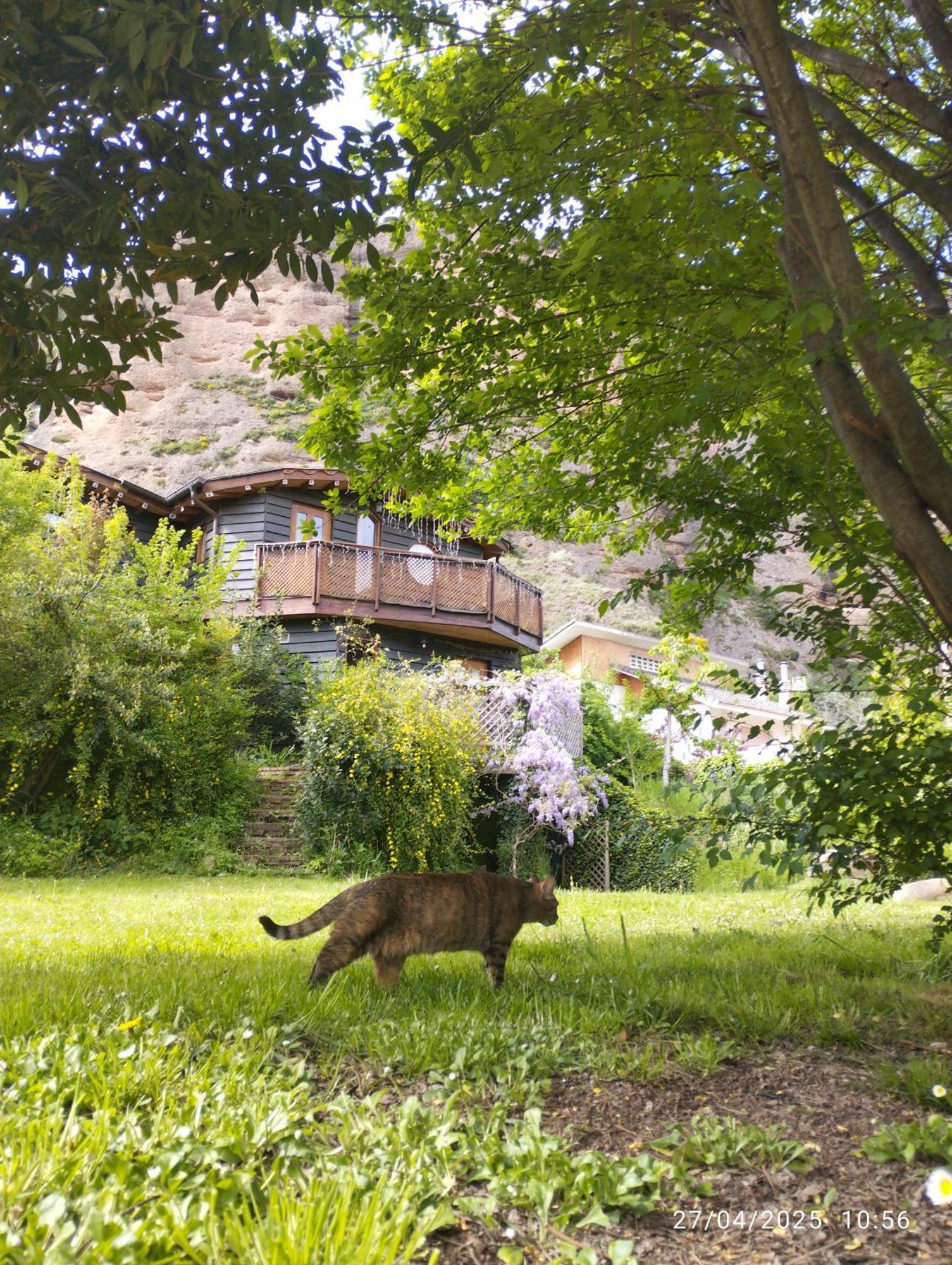 Bed & Breakfast La Casa *