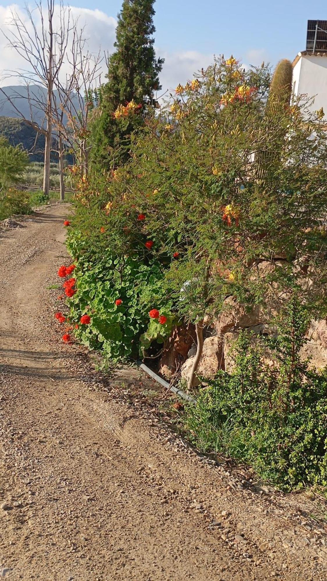 Casa rural Cortijo Rural Molino Con Piscina Y Zonas Compartidas *