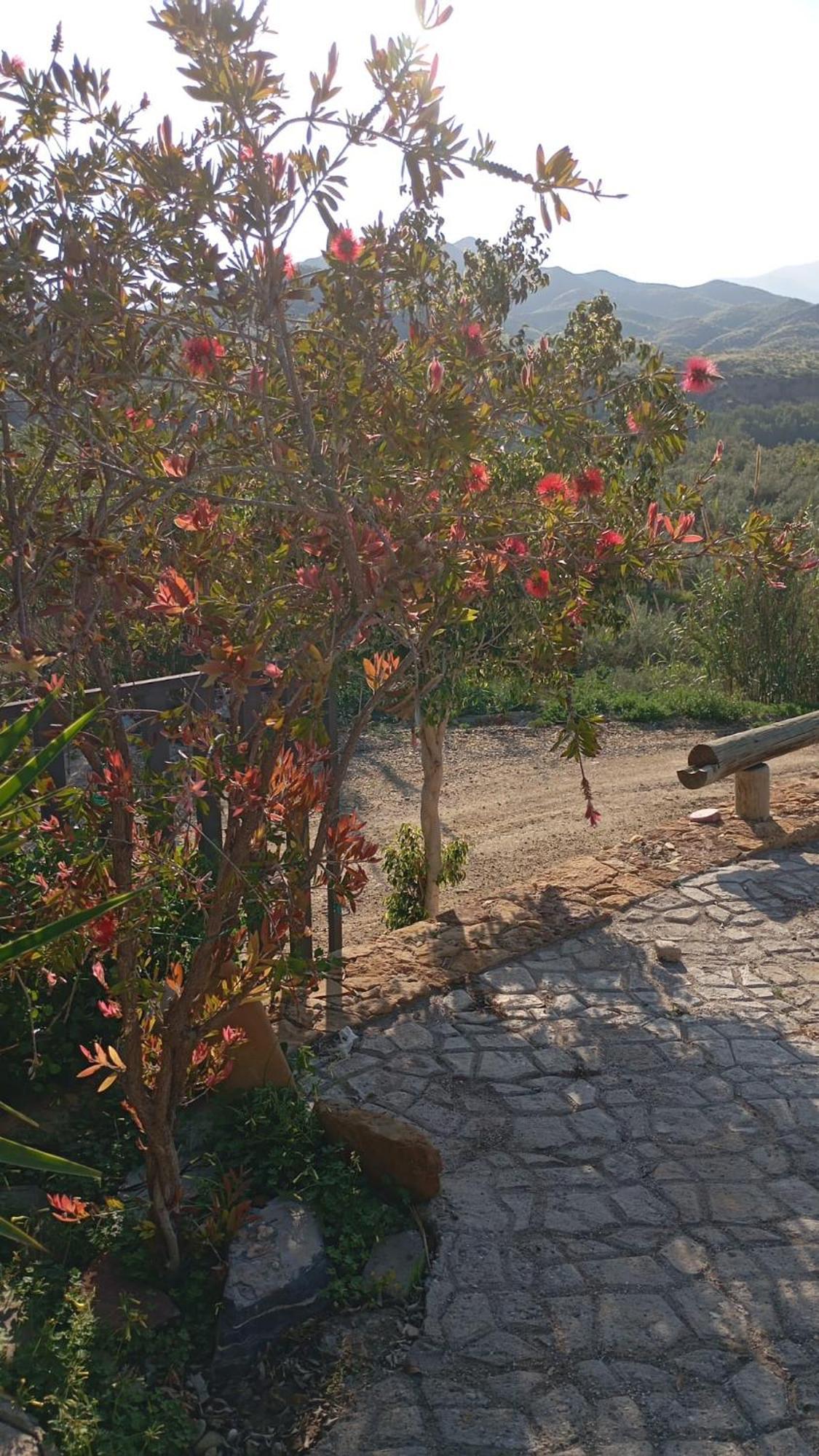 Casa rural Cortijo Rural Molino Con Piscina Y Zonas Compartidas El Tarahal