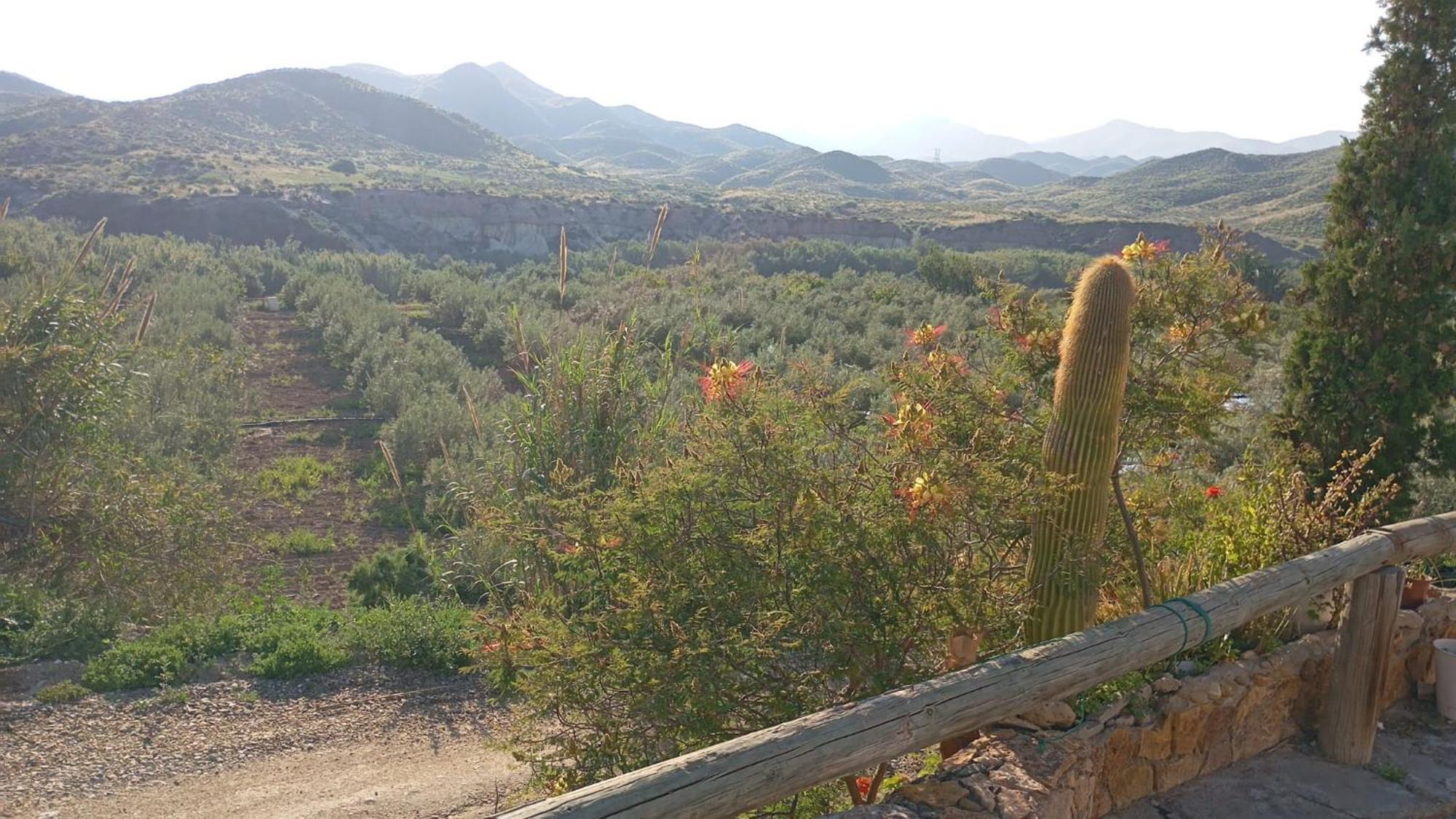 Cortijo Rural Molino Con Piscina Y Zonas Compartidas *
