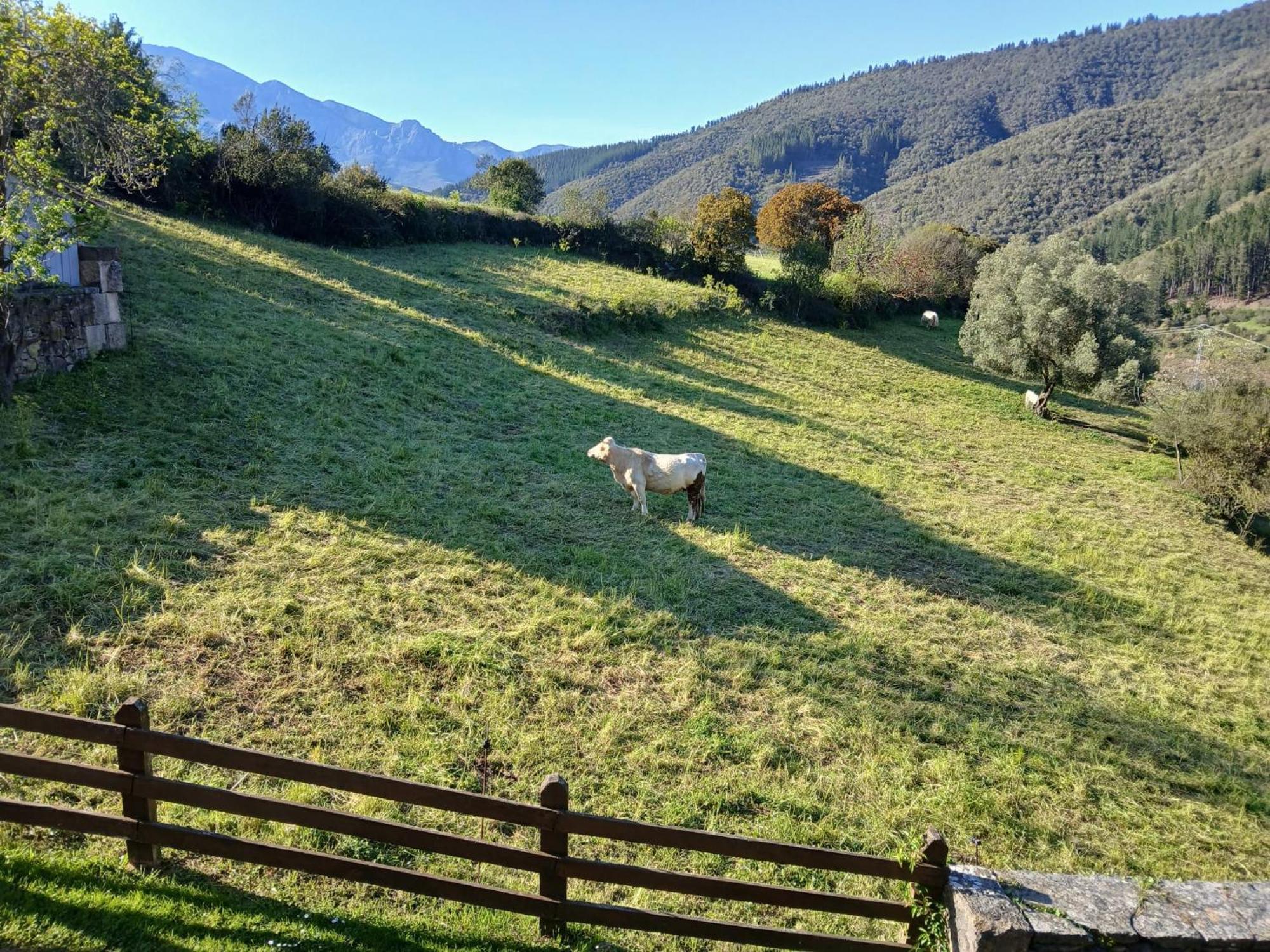 Calm & Nature - Adults Only