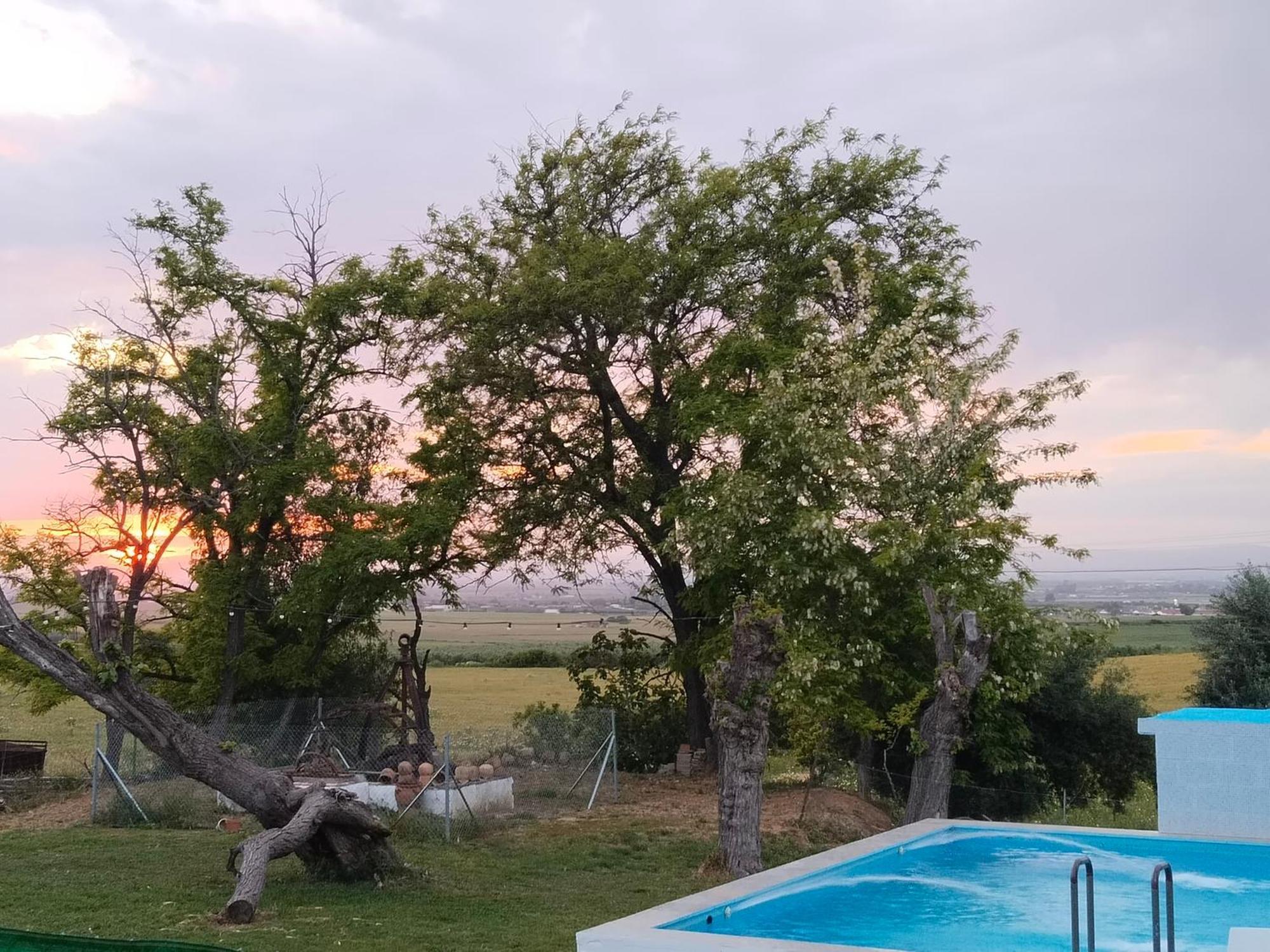 Holiday home Cerro Campon Carmona (Seville)