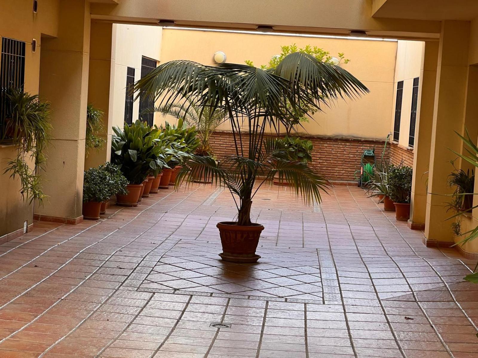 Apartamento Turistico La Clase