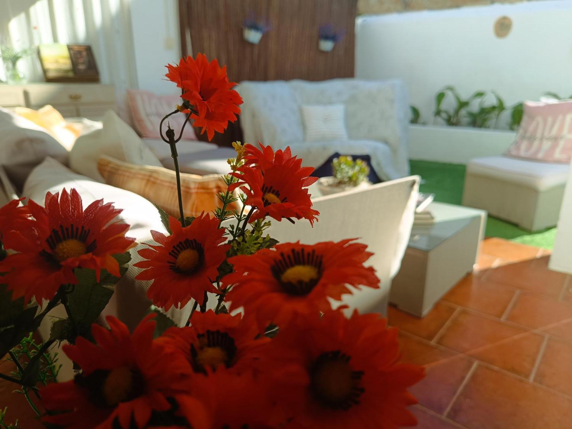 Alegria Holiday home