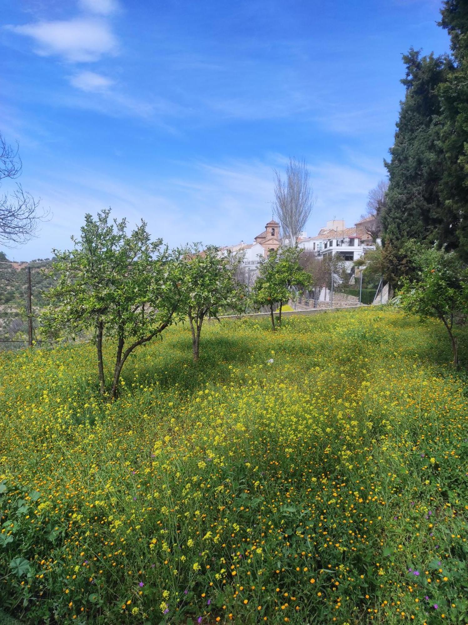 Casa Huertecillos Holiday home