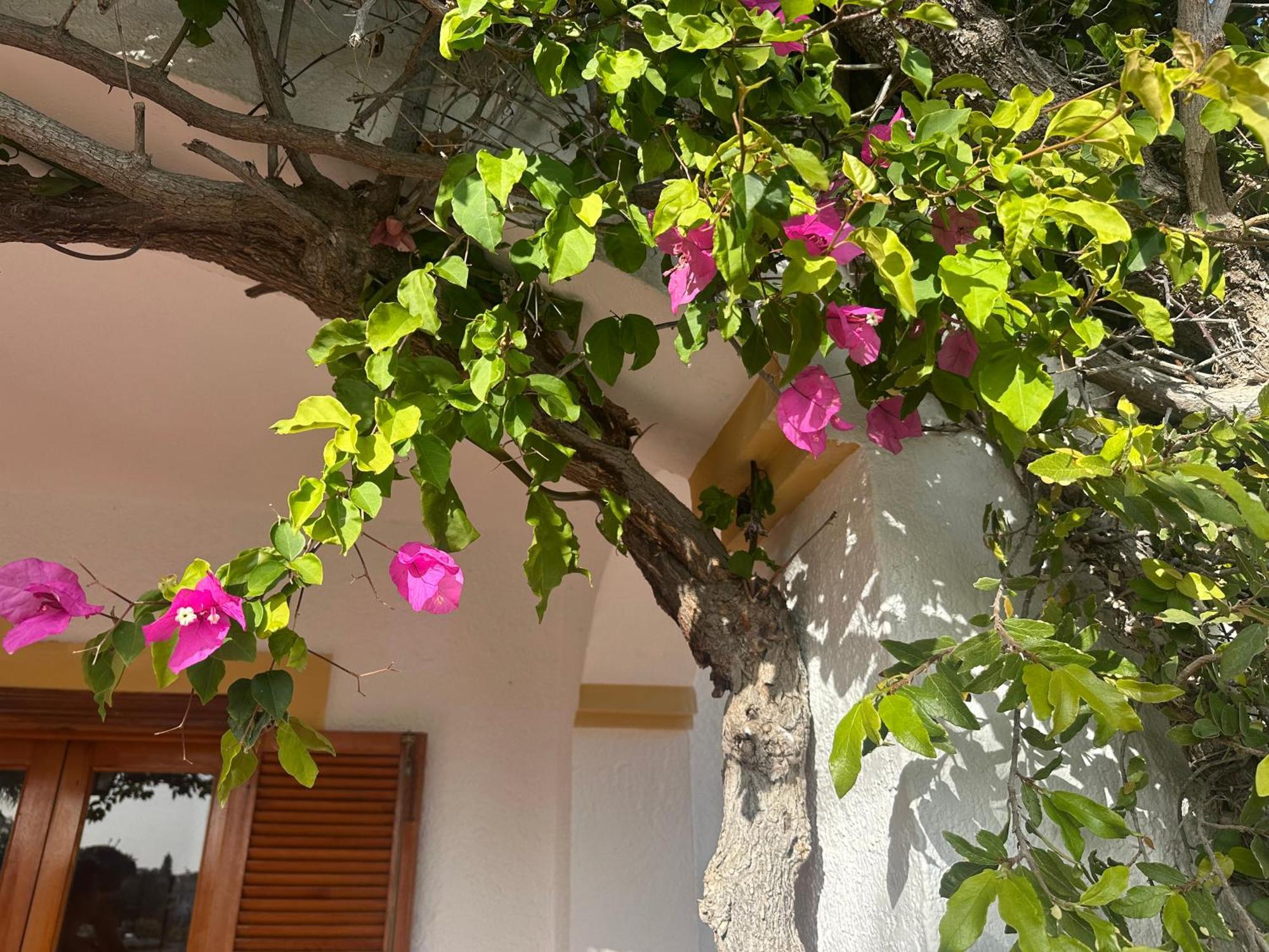Casa Hermosa Bed & Breakfast