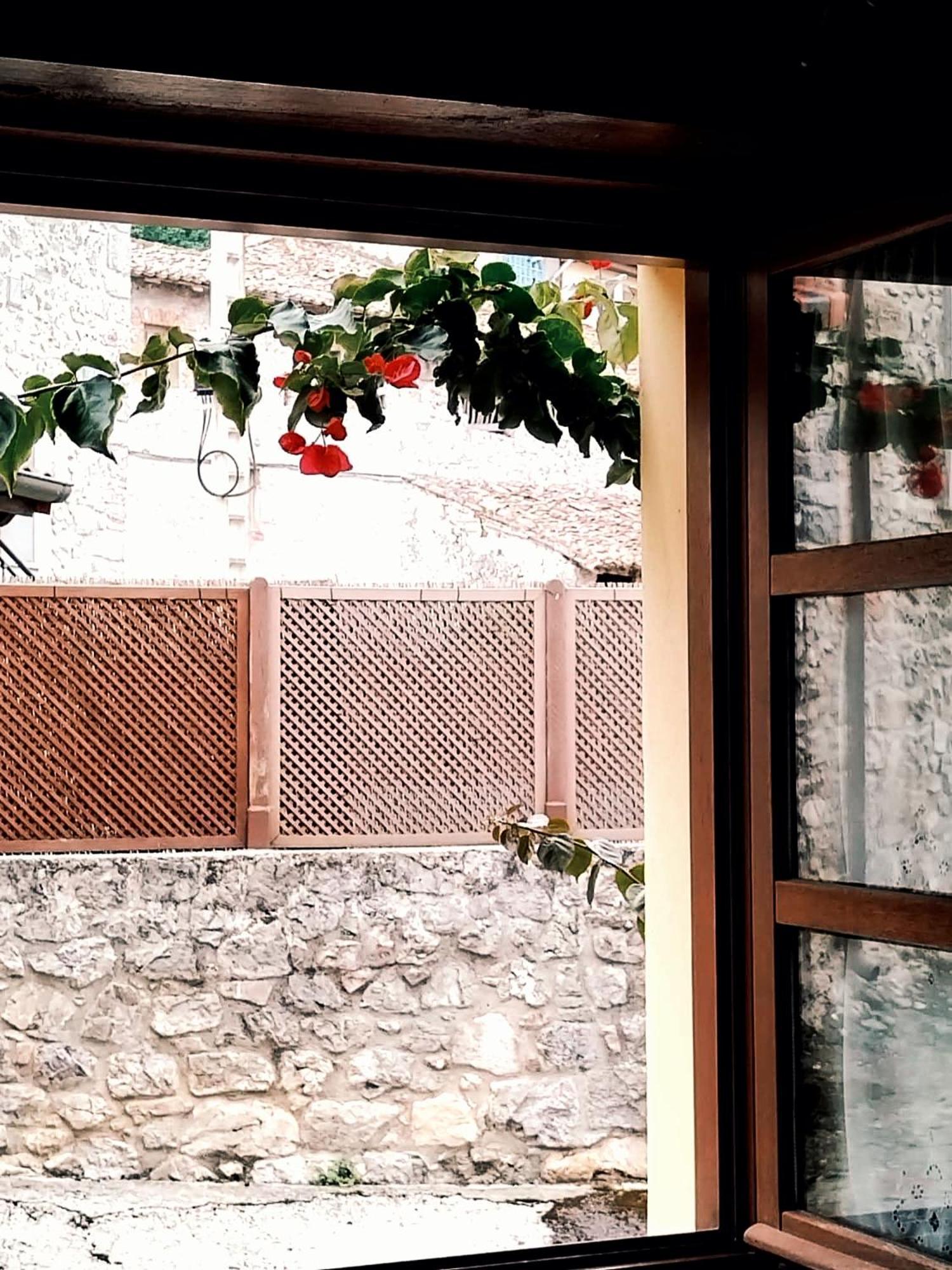 Casa Pelayin