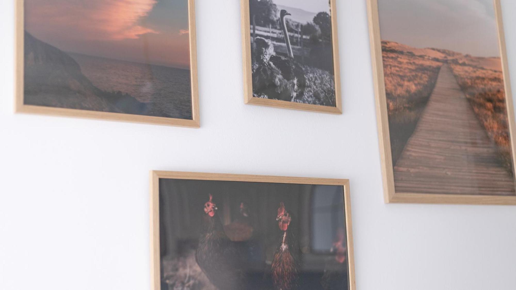 O Camino Guest house Sarria