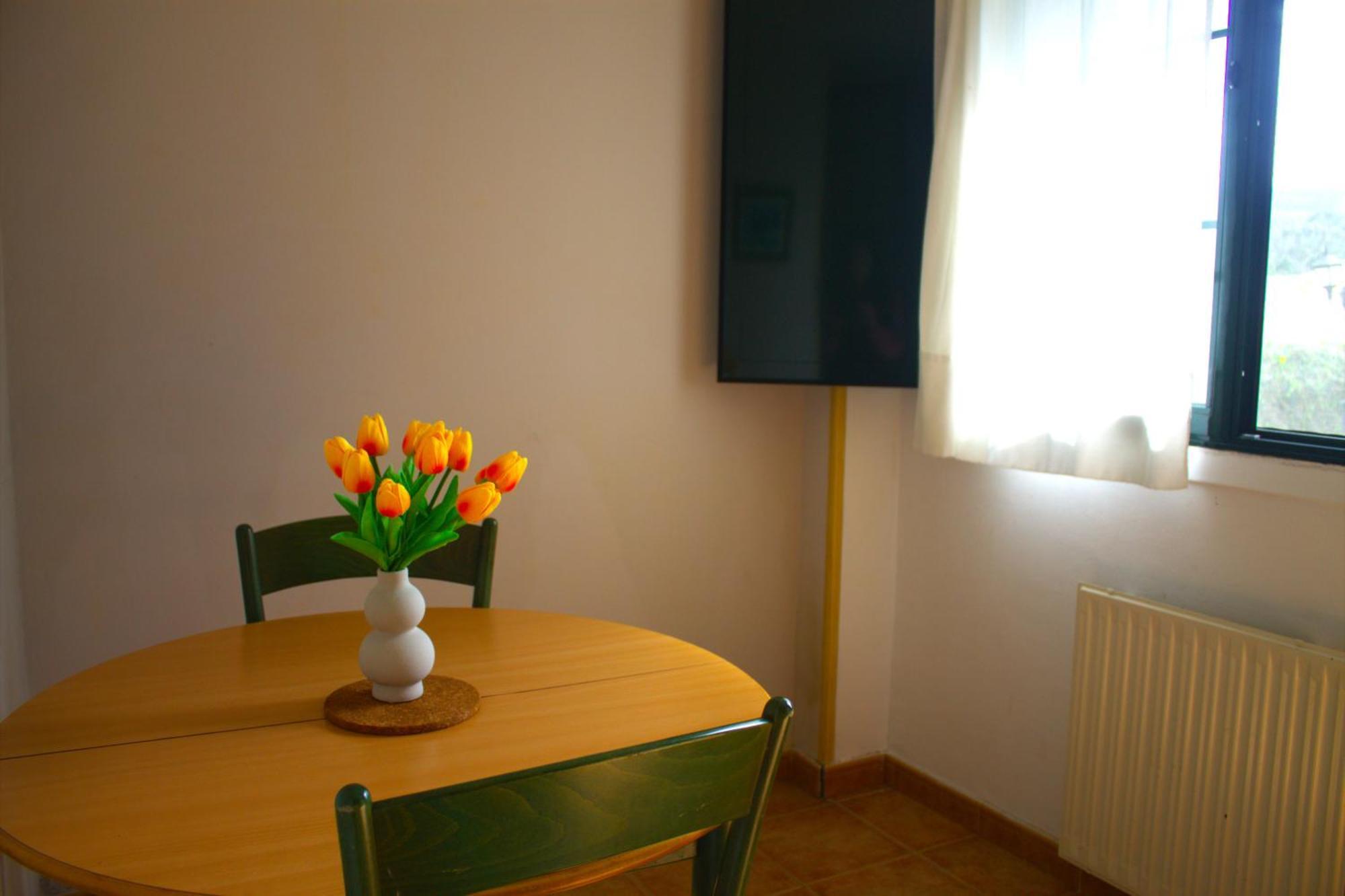 Apartment Castello