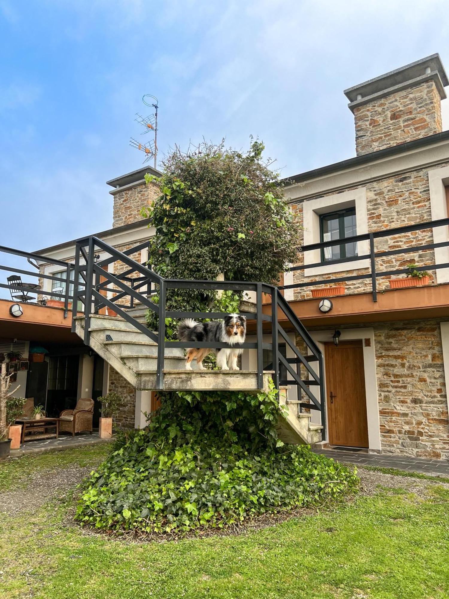 Castello Cartavio