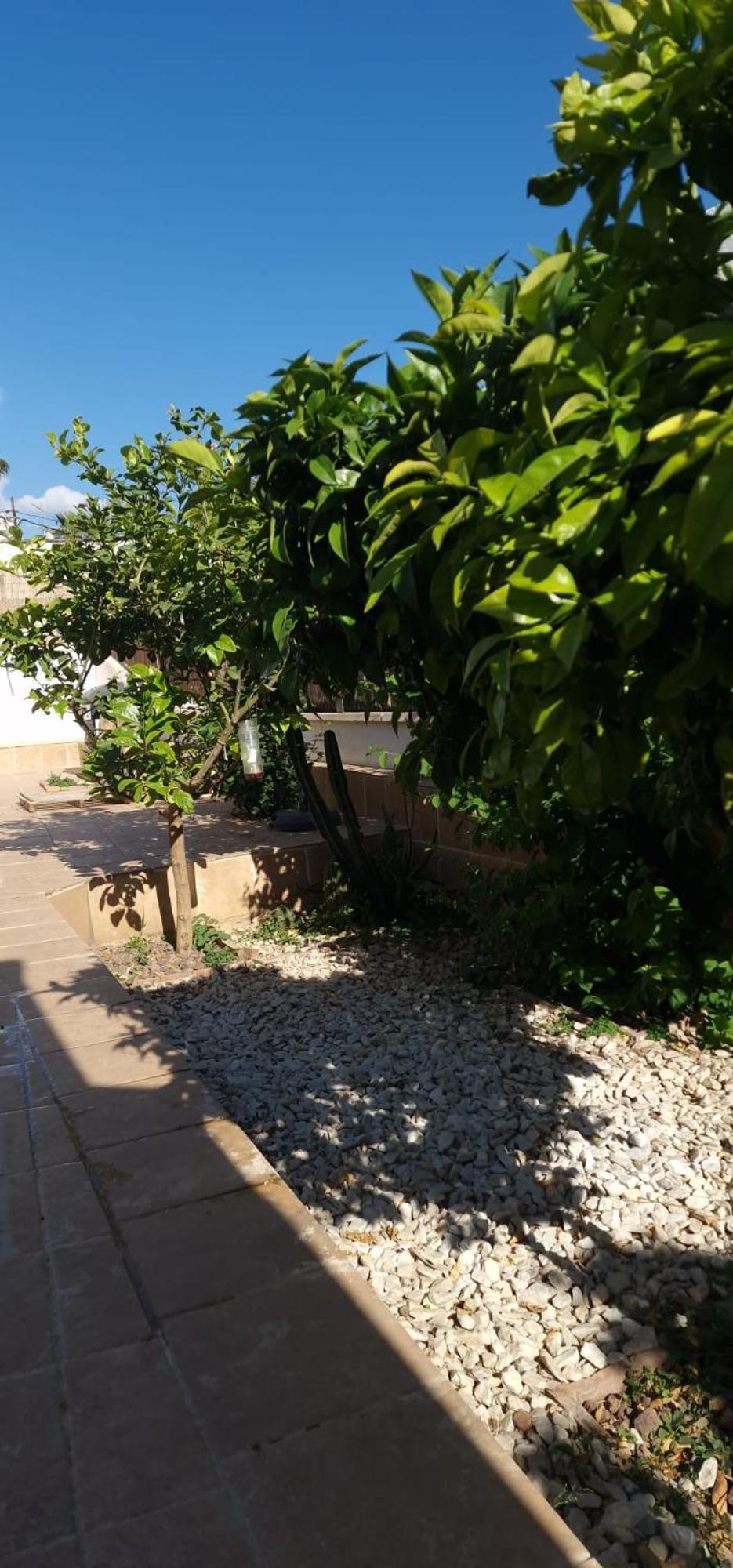 Apartamento Maestranza *