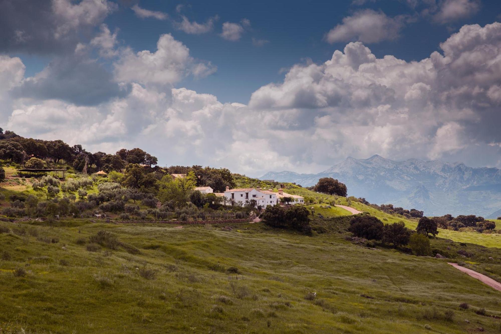 La Donaira
