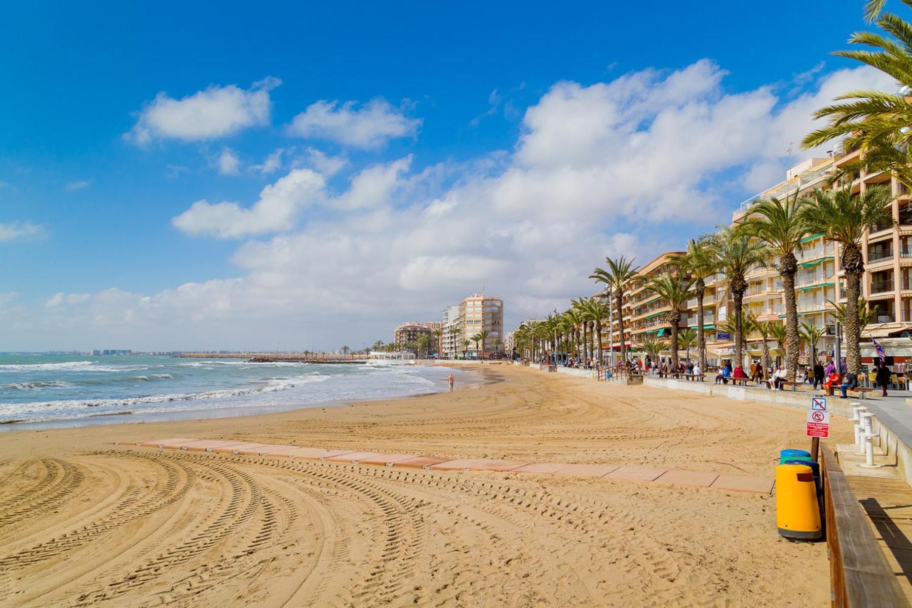 Alegria Id94 Torrevieja