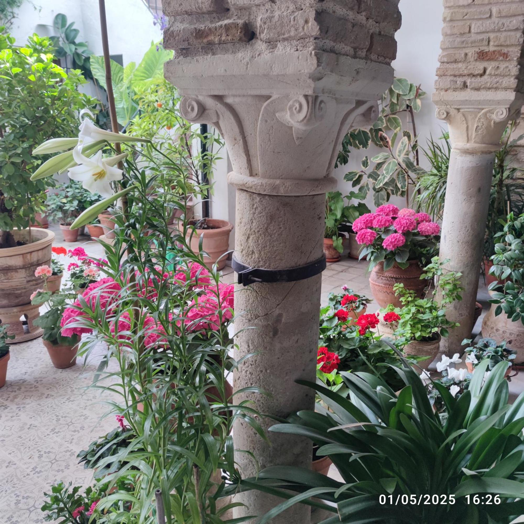 Apartment El Patio De Regina Cordoba