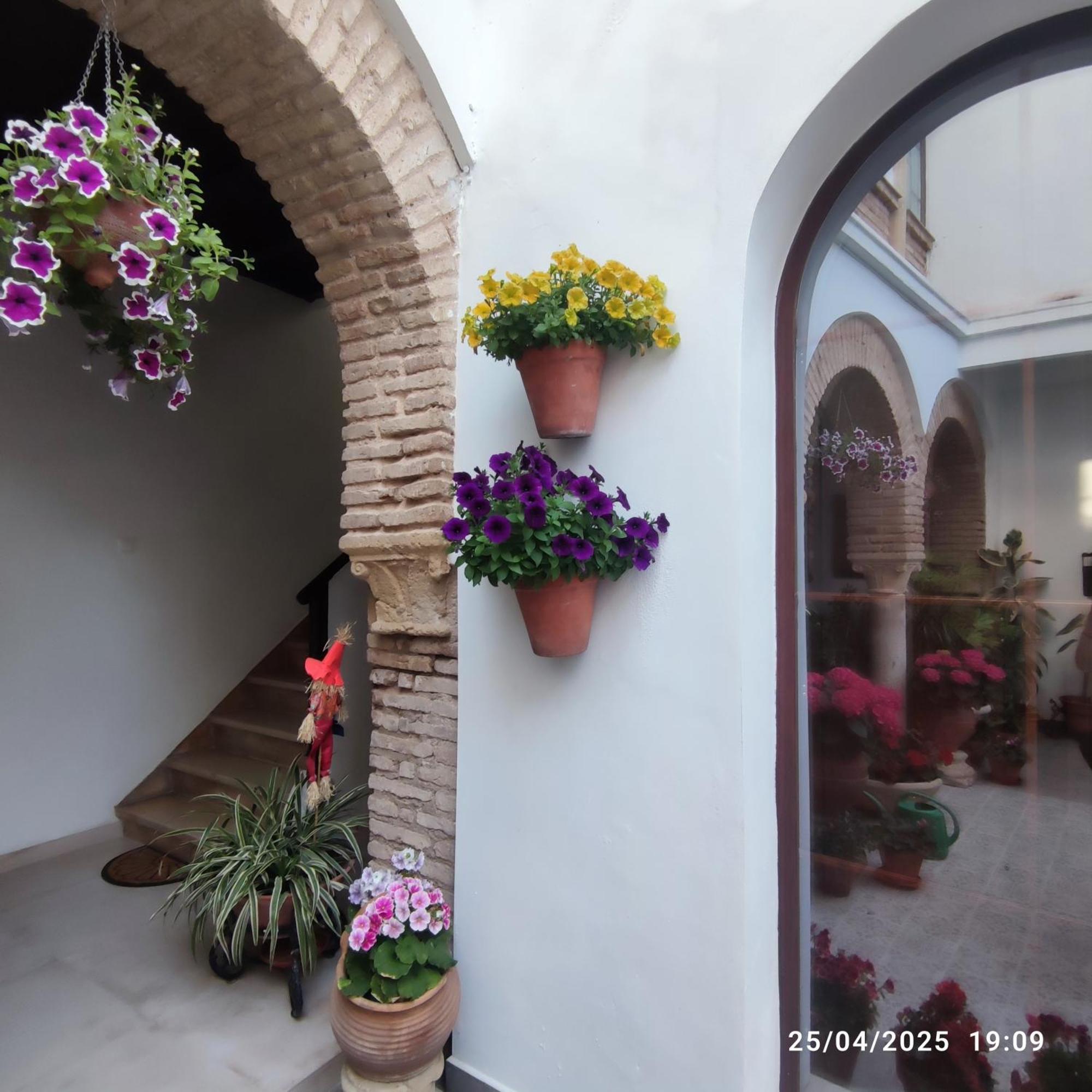 Apartment El Patio De Regina Cordoba