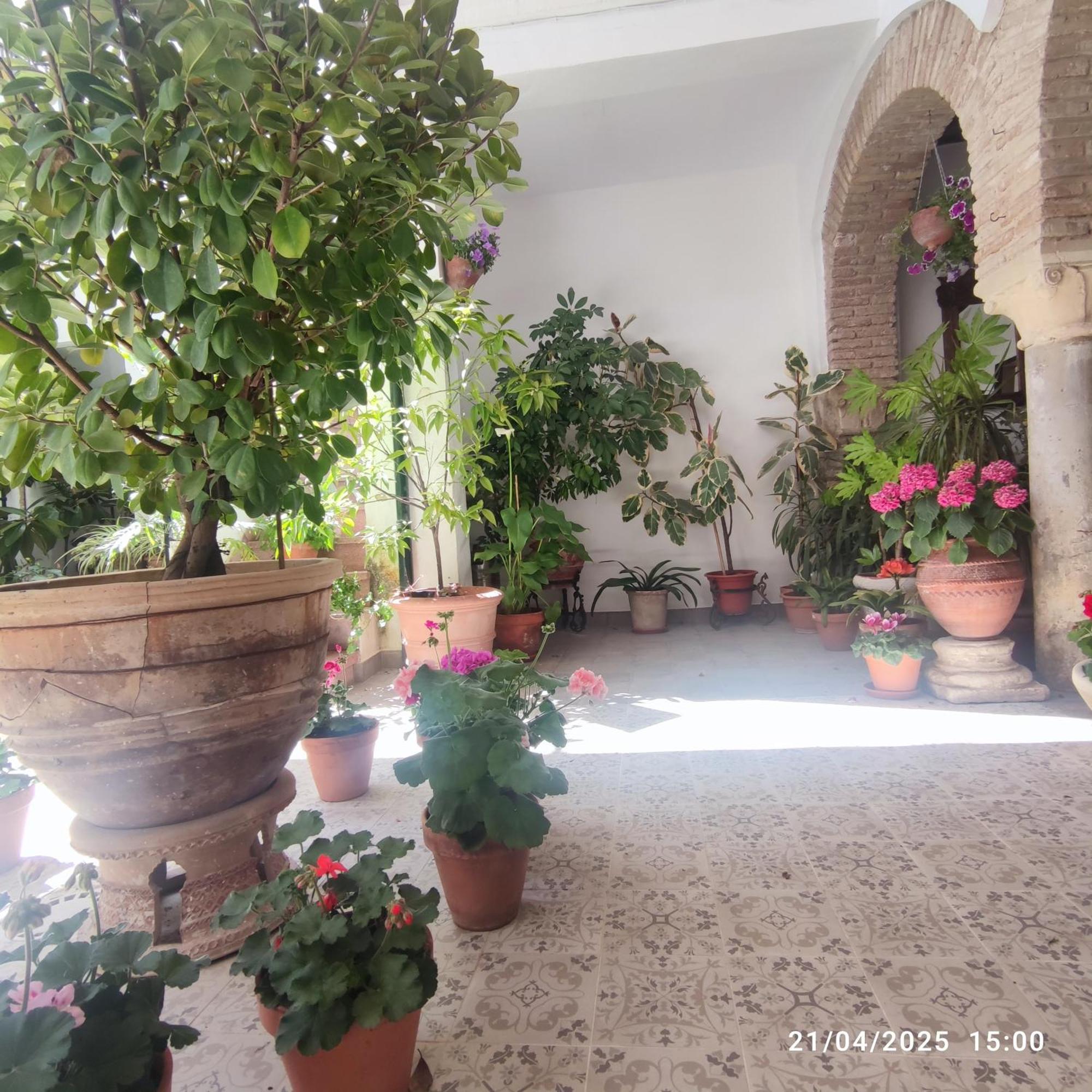 El Patio De Regina Apartment *