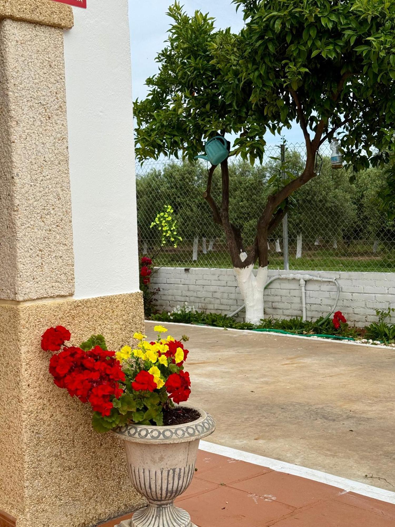 La Casa Del Flamenco Сasa de vacaciones *