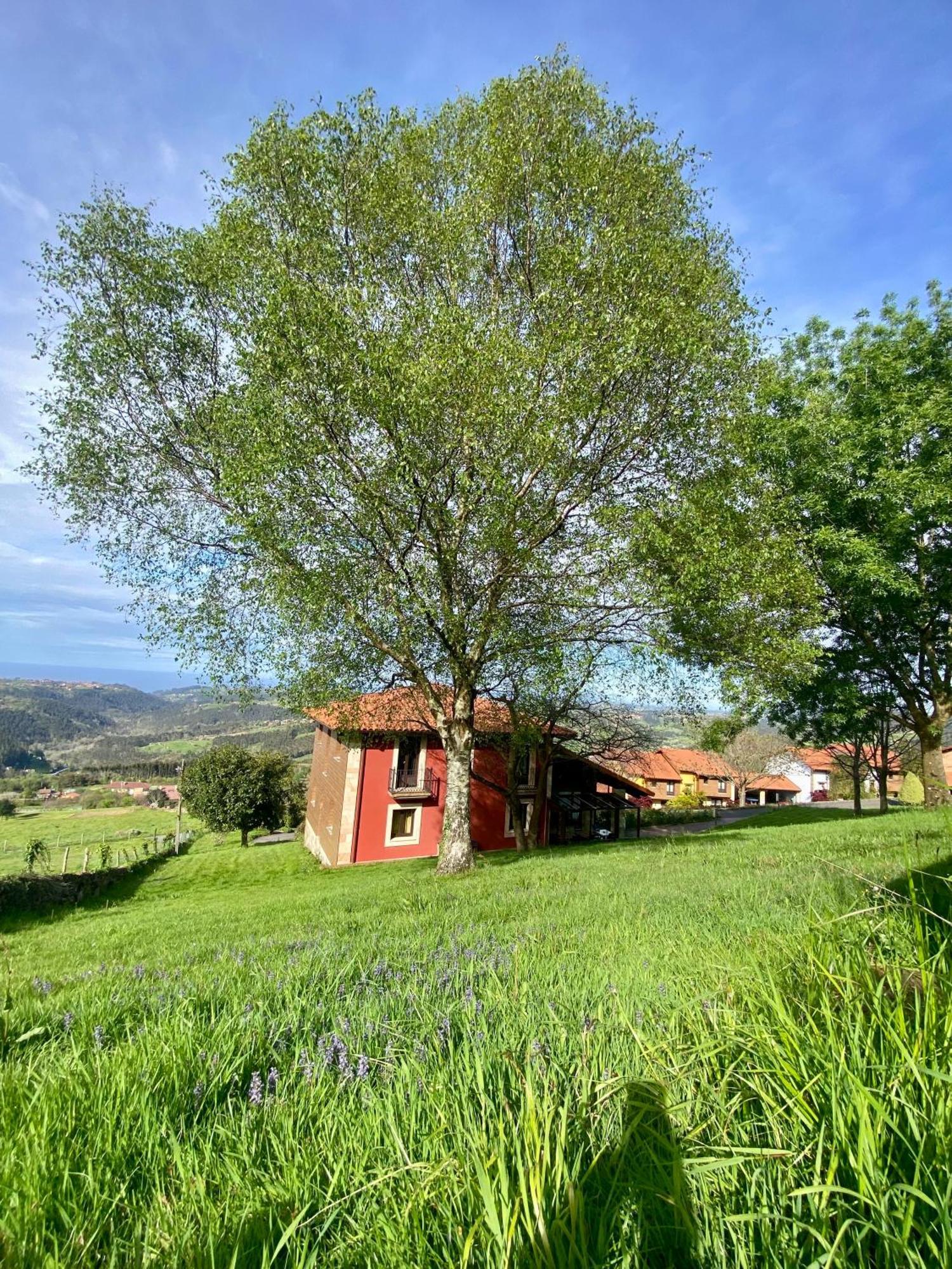Resort La Boz, Nucleo Turístico Rural San Miguel (Gijon)