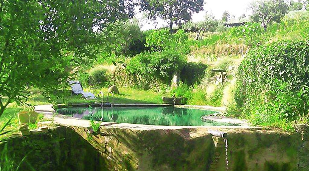 Casa Rural Fuentes De Agata Country house