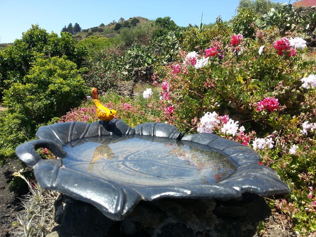 El Valle *