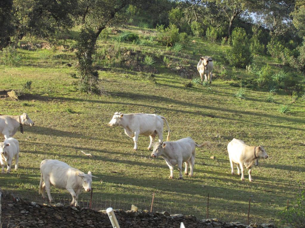 Casa rural Valle Corchoso Cala