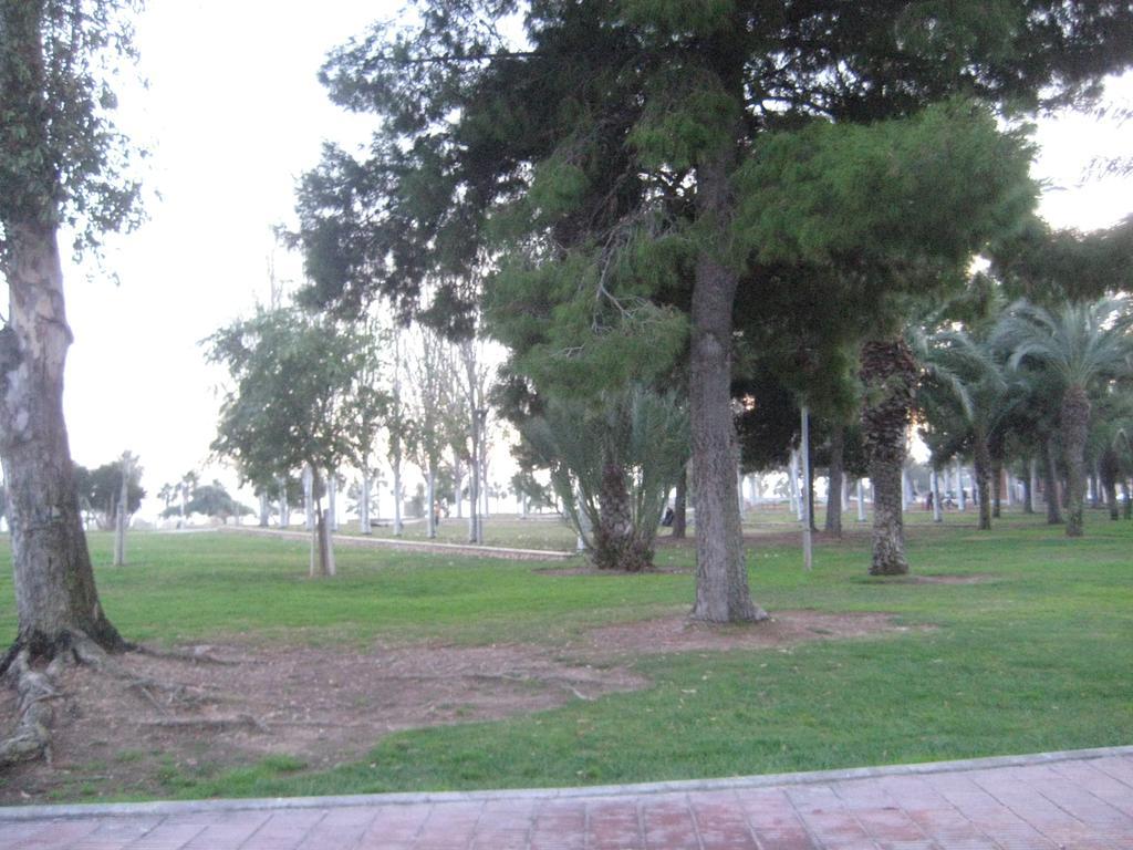 Illa Mar Sant Carlos de la Ràpita