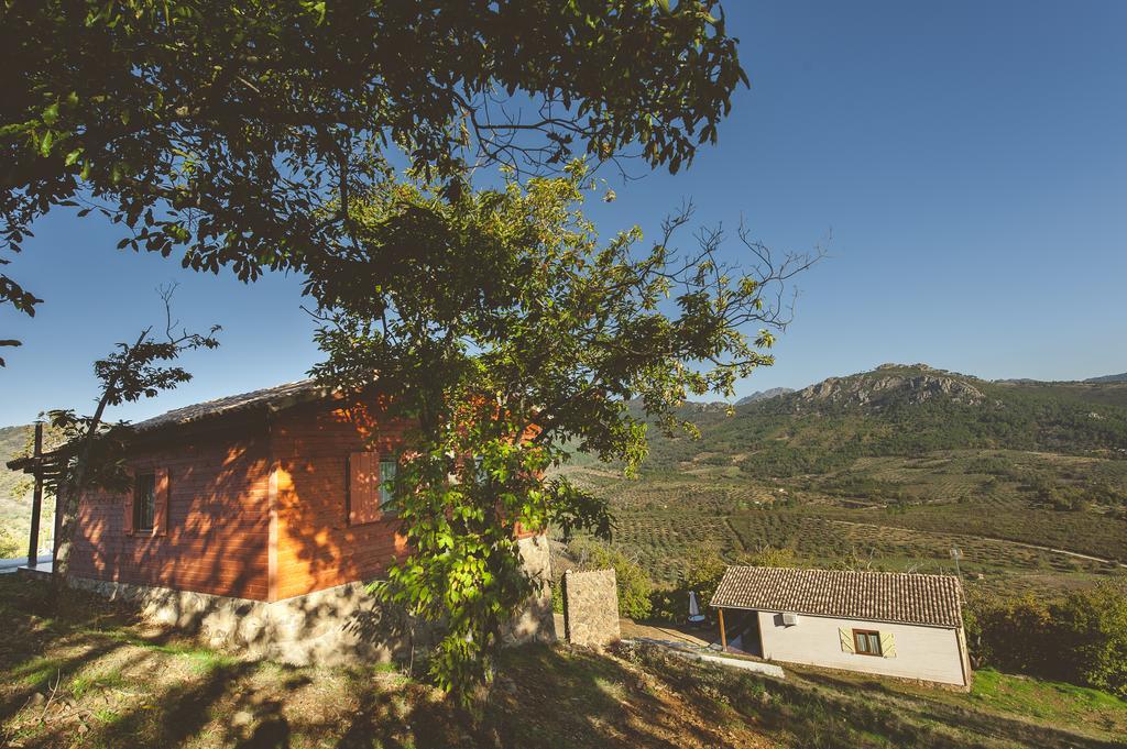 La Brizna * Canamero