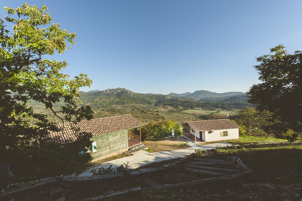 La Brizna *