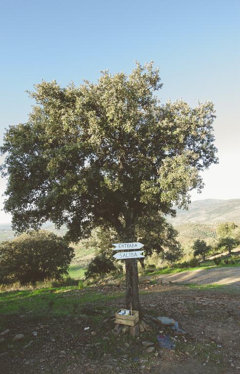 La Brizna Country house Canamero