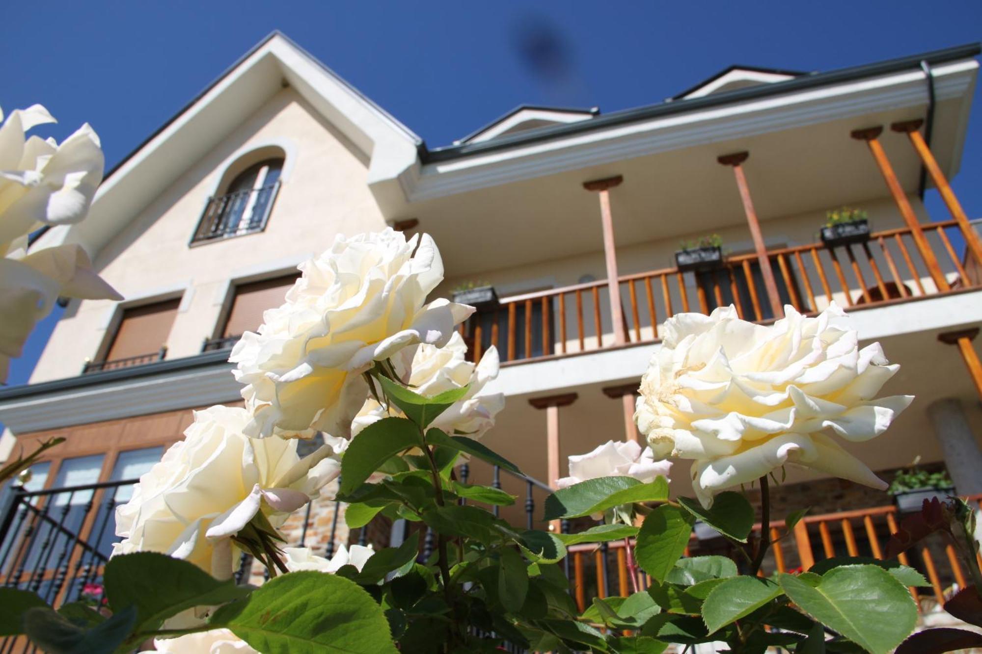 Mencia Hotel 3*