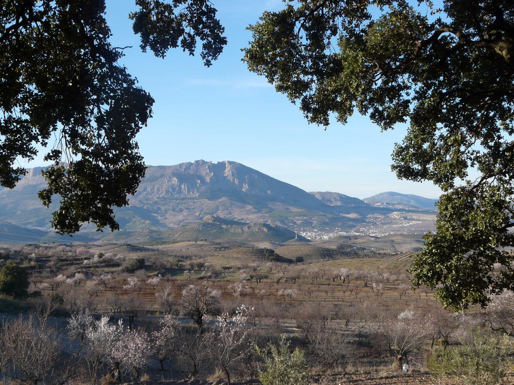 Cortijo La Estrella Velez Rubio