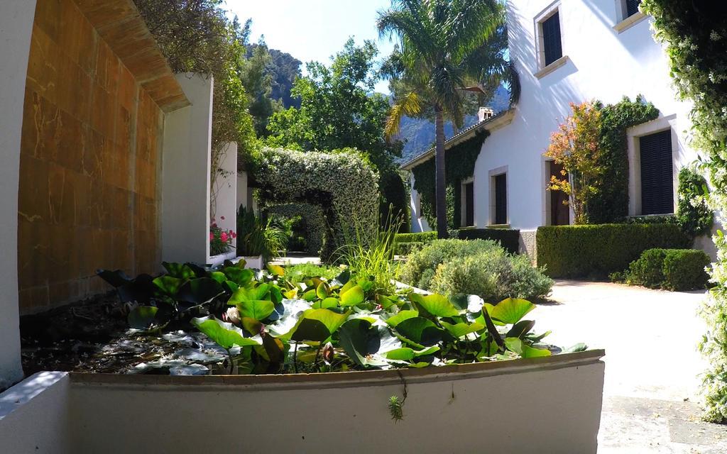 Apartment Alfabia Nou