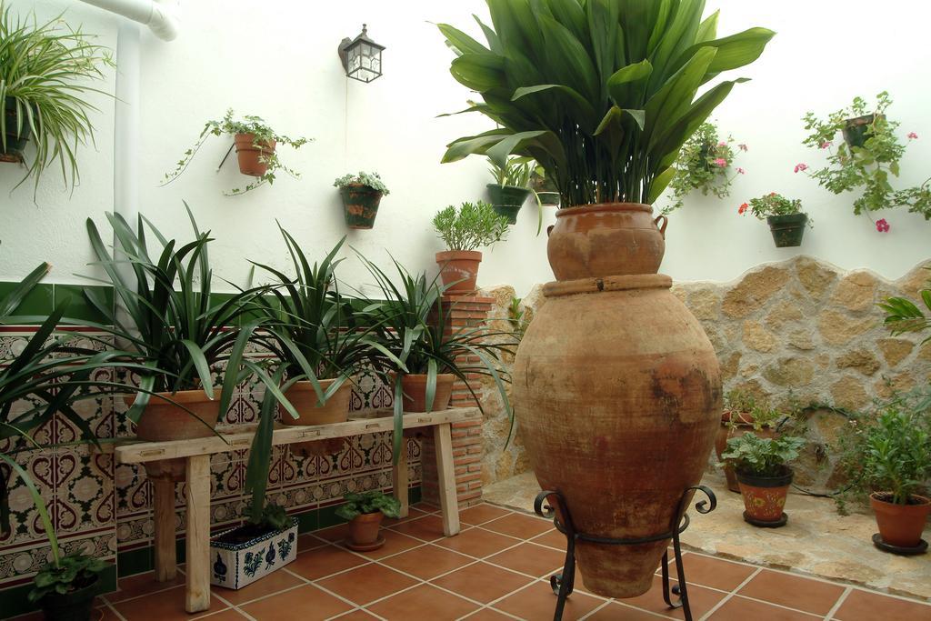 Tío José María Apartamento *