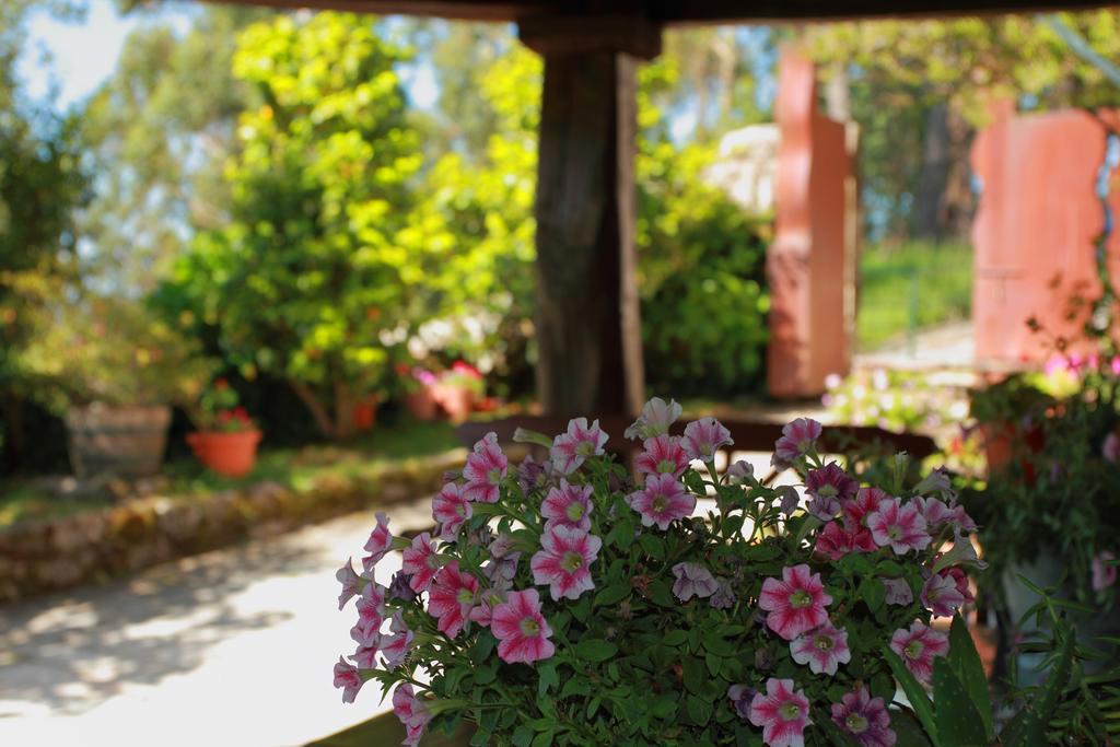 Country house Rectoral De Fofe