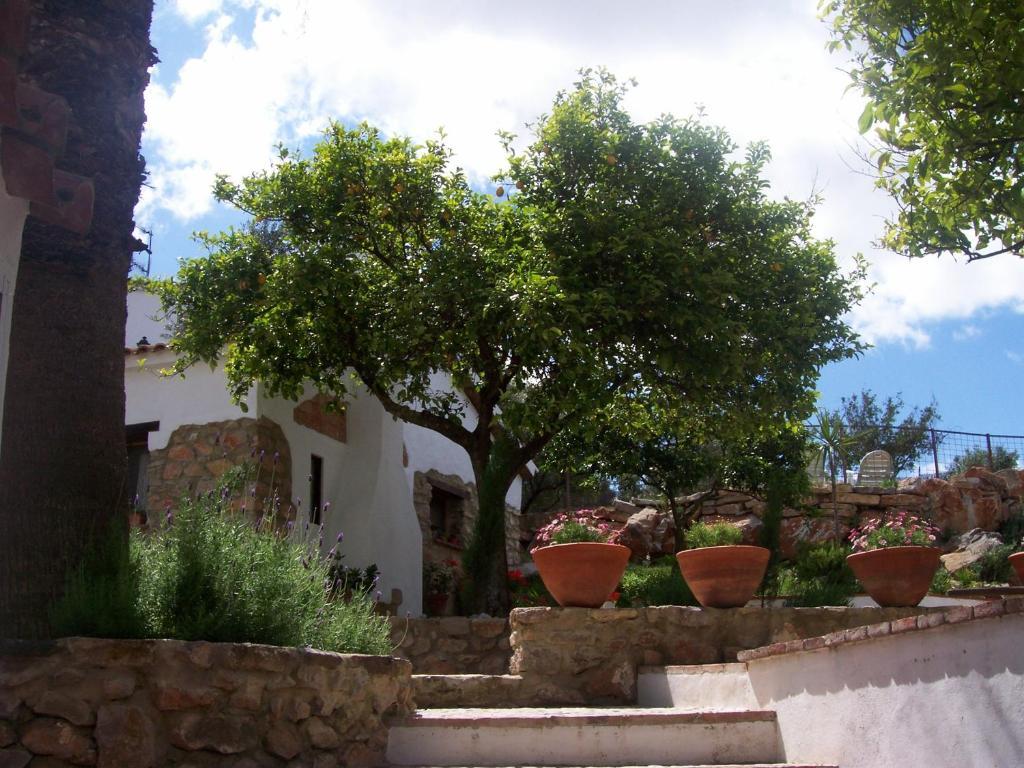 Сasa de vacaciones Casa De Abajo
