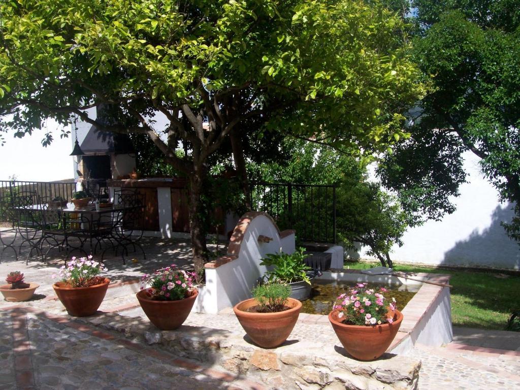 Casa De Abajo
