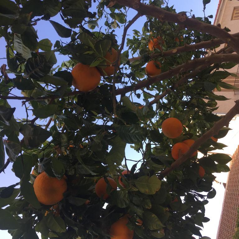 Apartamento Nietos