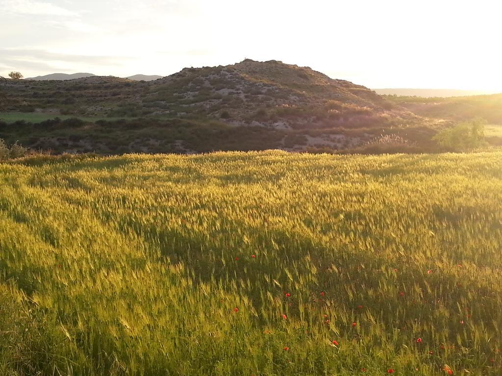 Al Jatib