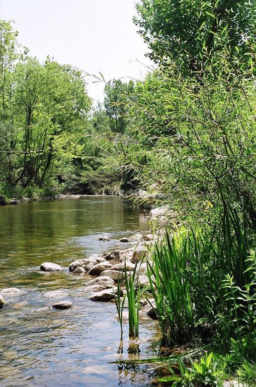 El Molí Pont de Molins