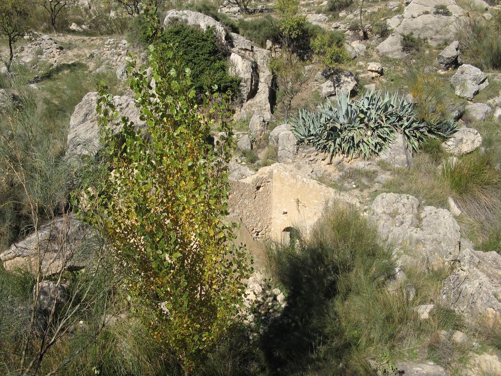 Caseria 7 Fuentes Hinojares