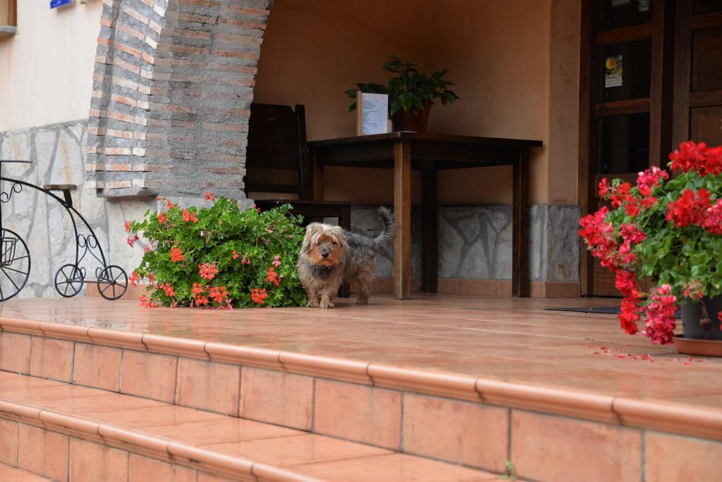 Country house Agroturismo Ordaola *