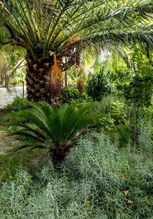 Jardines De Casablanca Pensión *
