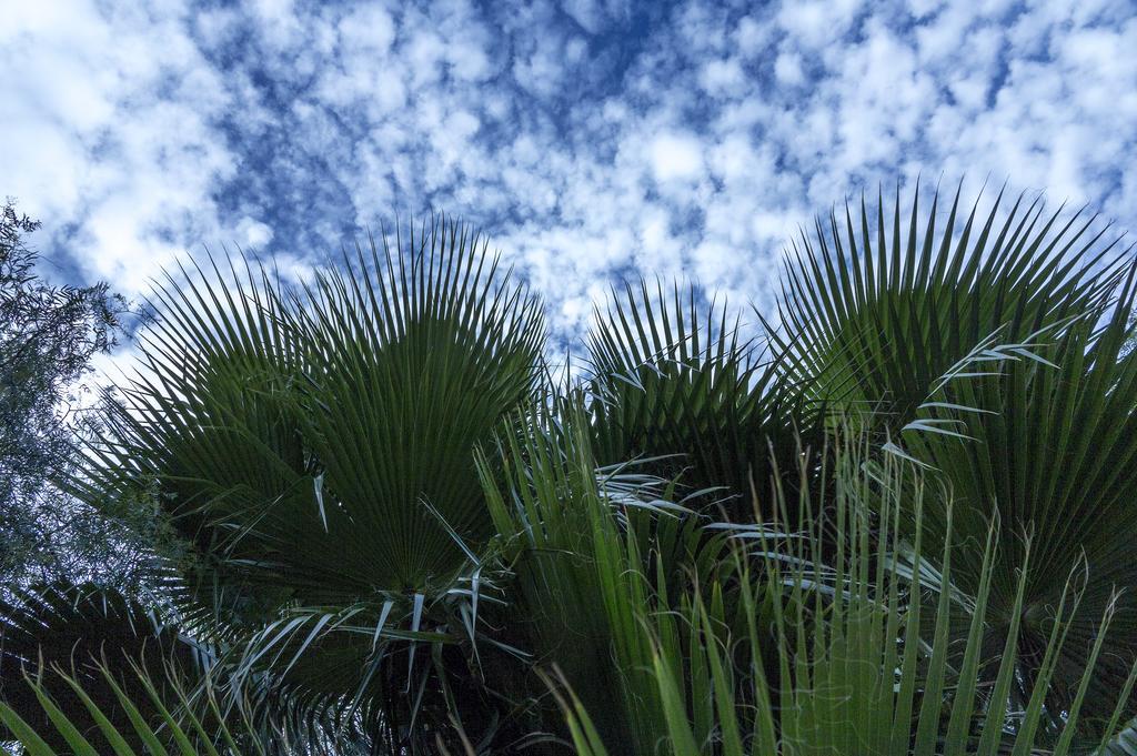 Pensión Jardines De Casablanca *
