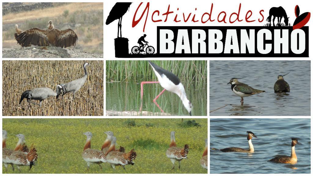Apartamento Barbancho *