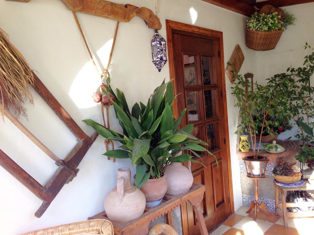 Hotel Alcadima 3*