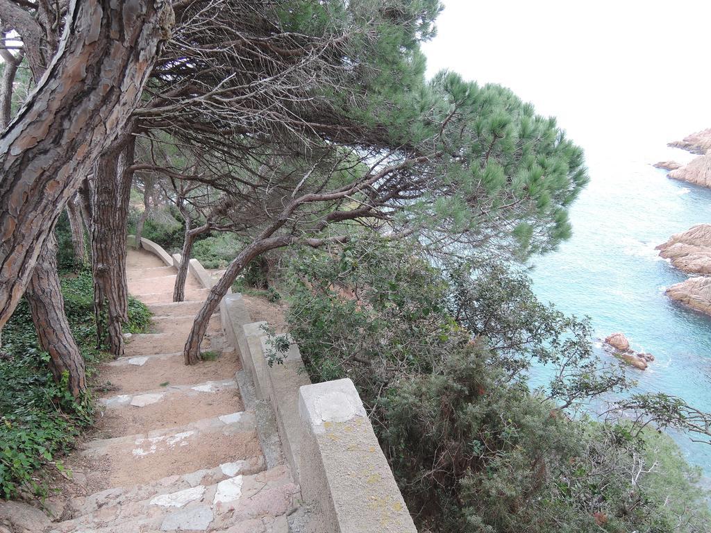 Guest house La Marina Platja d'Aro