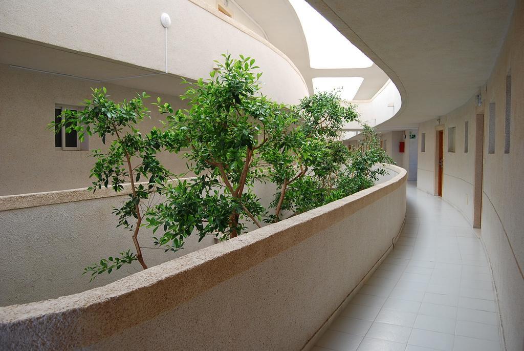 Aparthotel Palmera