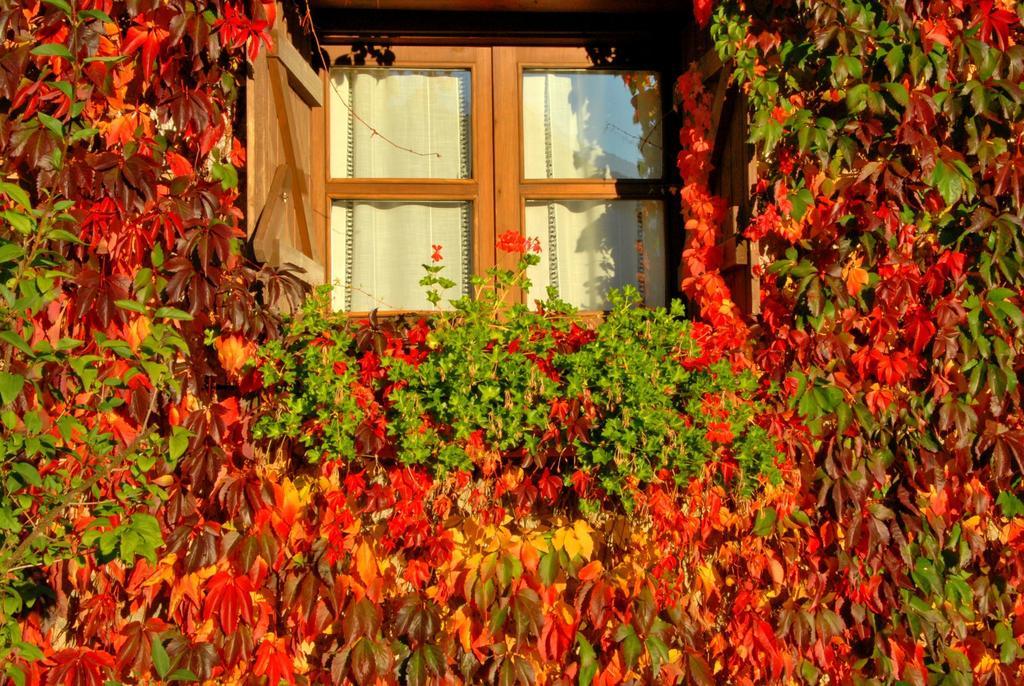 Hotel Selba D'ansils 3*