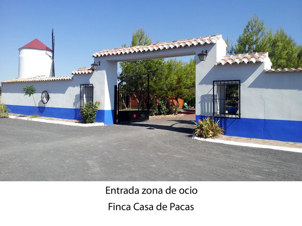 Con Jacuzzi Y Pista De Padel - Casa De Pacas Casa rural *