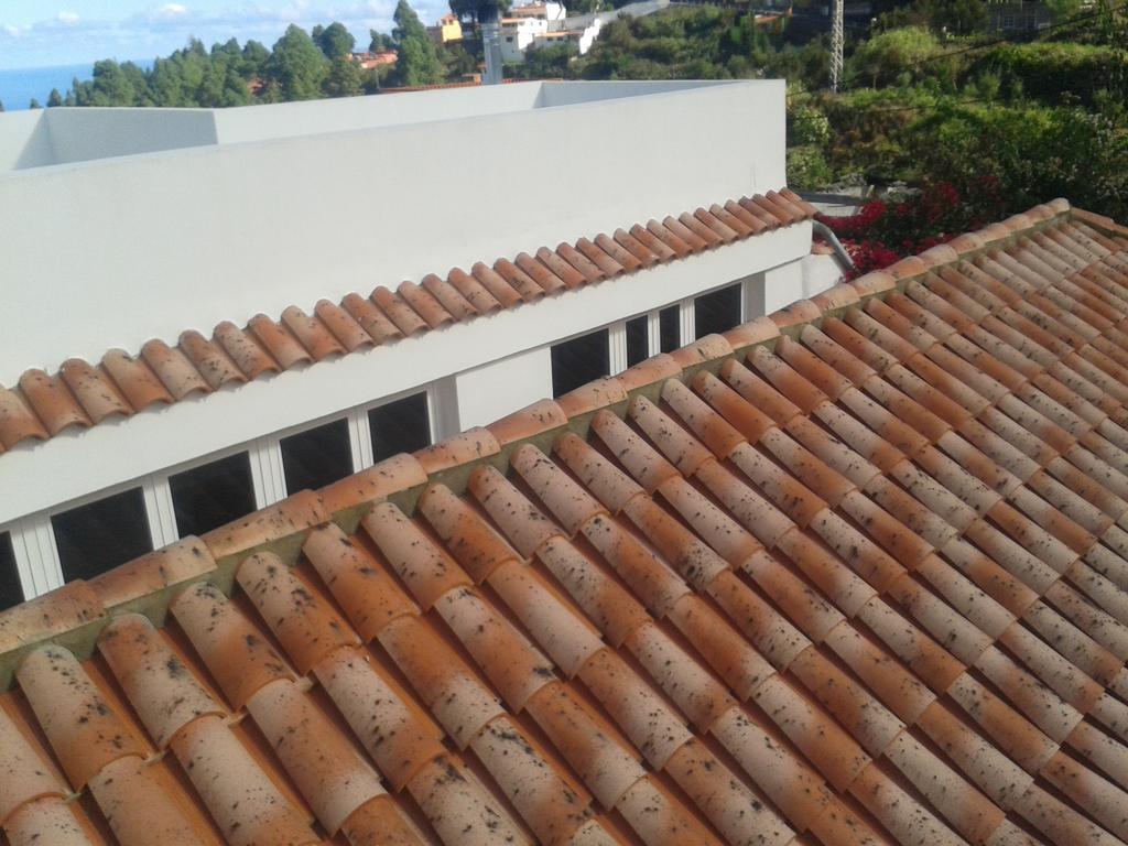 Сasa de vacaciones Palmeras